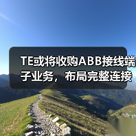 TE或将收购ABB接线端子业务，布局完整连接解决方案（图1）