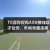 TE或将收购ABB接线端子业务，布局完整连接解决方案（图3）