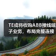TE或将收购ABB接线端子业务，布局完整连接解决方案（图4）