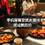 手机屏幕变扬声器技术或成新趋势（图4）