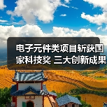 电子元件类项目斩获国家科技奖 三大创新成果引关注（图2）
