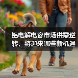 铝电解电容市场供需逆转，将迎来哪些新机遇？（图4）