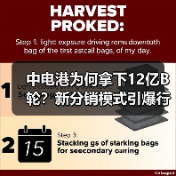中电港为何拿下12亿B轮？新分销模式引爆行业关注（图3）