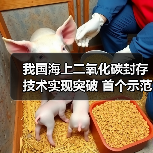 我国海上二氧化碳封存技术实现突破 首个示范工程投用（图2）
