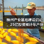 梧州产业基地建设启动，25亿投资预计年产值达百亿（图2）