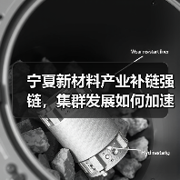 宁夏新材料产业补链强链，集群发展如何加速？（图2）