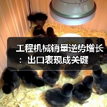 工程机械销量逆势增长：出口表现成关键（图4）