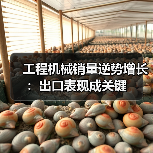工程机械销量逆势增长：出口表现成关键（图3）