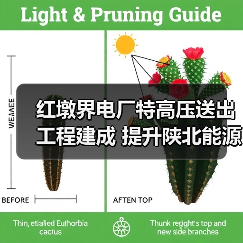 红墩界电厂特高压送出工程建成 提升陕北能源输送能力（图3）
