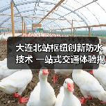 大连北站枢纽创新防水技术 一站式交通体验揭秘（图3）