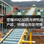 定增40亿加码光伏钨丝产能，钨钼业务如何领跑（图3）