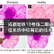 成都地铁10号线二期通信系统中标背后的技术核心揭秘（图1）