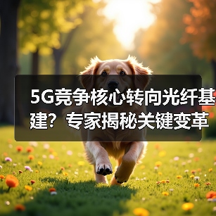 5G竞争核心转向光纤基建？专家揭秘关键变革（图4）