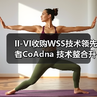 II-VI收购WSS技术领先者CoAdna 技术整合升级（图3）