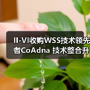 II-VI收购WSS技术领先者CoAdna 技术整合升级（图4）