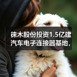 徕木股份投资1.5亿建汽车电子连接器基地，前景如何？（图2）