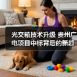 光交箱技术升级 贵州广电项目中标背后的新趋势（图3）