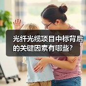 光纤光缆项目中标背后的关键因素有哪些？（图4）