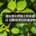 港珠澳大桥竣工验收通过 创新技术如何重塑跨海工程（图4）