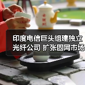 印度电信巨头组建独立光纤公司 扩张固网市场份额策略解析（图4）