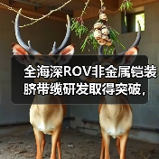 全海深ROV非金属铠装脐带缆研发取得突破，中天海缆项目顺利通过评审（图1）