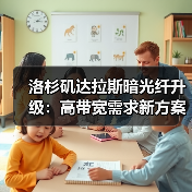 洛杉矶达拉斯暗光纤升级：高带宽需求新方案（图3）