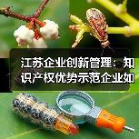 江苏企业创新管理:知识产权优势示范企业如何脱颖而出?(图1) 江苏企业创新管理:知识产权优势示范企业如何脱颖而出?(图1)