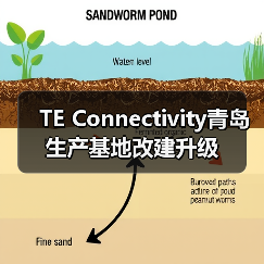TE Connectivity青岛生产基地改建升级(图4) TE Connectivity青岛生产基地改建升级(图4)