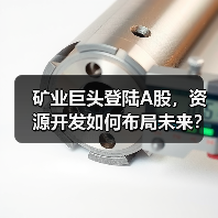 矿业巨头登陆A股，资源开发如何布局未来？（图1）