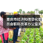 重庆市经济和信息化委员会职称改革办公室关于组织开展2023年全市工程技术工业设计专业职称申报评审工作的通知（图2）