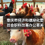 重庆市经济和信息化委员会职称改革办公室关于组织开展2023年全市工程技术工业设计专业职称申报评审工作的通知（图3）