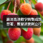 嘉浏高速数字转型成效显著，智慧运营树立行业新标杆（图2）