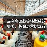 嘉浏高速数字转型成效显著，智慧运营树立行业新标杆（图4）
