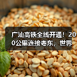 广汕高铁全线开通！200公里连接粤东，世界首创技术缩短时空距离（图2）