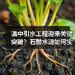 滇中引水工程迎来关键突破？石鼓水源如何实现全面连通？（图3）