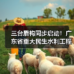 三台盾构同步启动！广东省重大民生水利工程进入新阶段（图1）