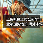 工程机械上市公司半年业绩逆势增长 海外市场迎发展机遇（图1）