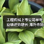 工程机械上市公司半年业绩逆势增长 海外市场迎发展机遇（图2）