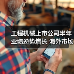 工程机械上市公司半年业绩逆势增长 海外市场迎发展机遇（图4）