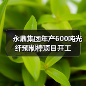 永鼎集团年产600吨光纤预制棒项目开工(图2) 永鼎集团年产600吨光纤预制棒项目开工(图2)