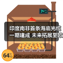 印度南非首条海底光缆一期建成 未来拓展至欧洲(图2) 印度南非首条海底光缆一期建成 未来拓展至欧洲(图2)