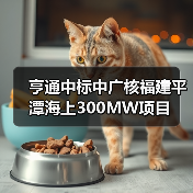亨通中标中广核福建平潭海上300MW项目(图4) 亨通中标中广核福建平潭海上300MW项目(图4)