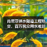 肯尼亚供水隧道工程移交，百万民众用水难题如何破解？（图2）