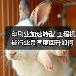 印刷业加速转型 工程机械行业景气度回升如何？（图1）