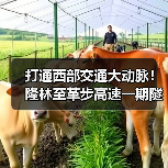 打通西部交通大动脉！隆林至革步高速一期隧道贯通（图1）