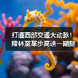 打通西部交通大动脉！隆林至革步高速一期隧道贯通（图2）