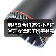 强强联合打造行业标杆 浙江立洋柳工携手共赢未来（图1）