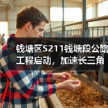 钱塘区S211钱塘段公路工程启动，加速长三角交通一体化进程（图2）