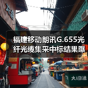 福建移动朗讯G.655光纤光缆集采中标结果曝光,亨通通鼎领跑(图2) 福建移动朗讯G.655光纤光缆集采中标结果曝光,亨通通鼎领跑(图2)
