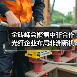 金砖峰会聚焦中非合作 光纤企业布局非洲新机遇(图3) 金砖峰会聚焦中非合作 光纤企业布局非洲新机遇(图3)